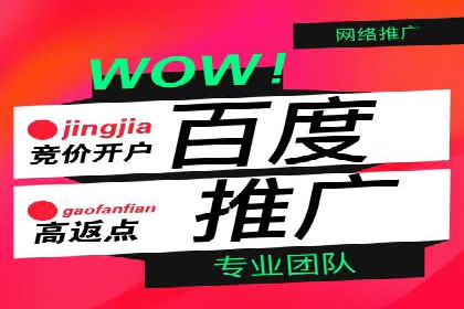 百度网络推广实战案例：从零开始打造爆款品牌